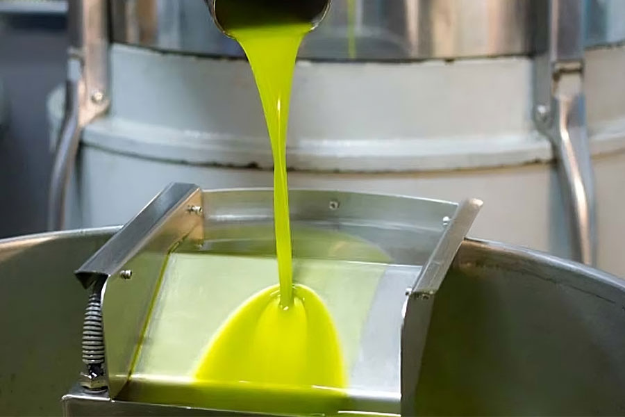 miti-da-sfatare-sull’olio-extravergine-d'oliva